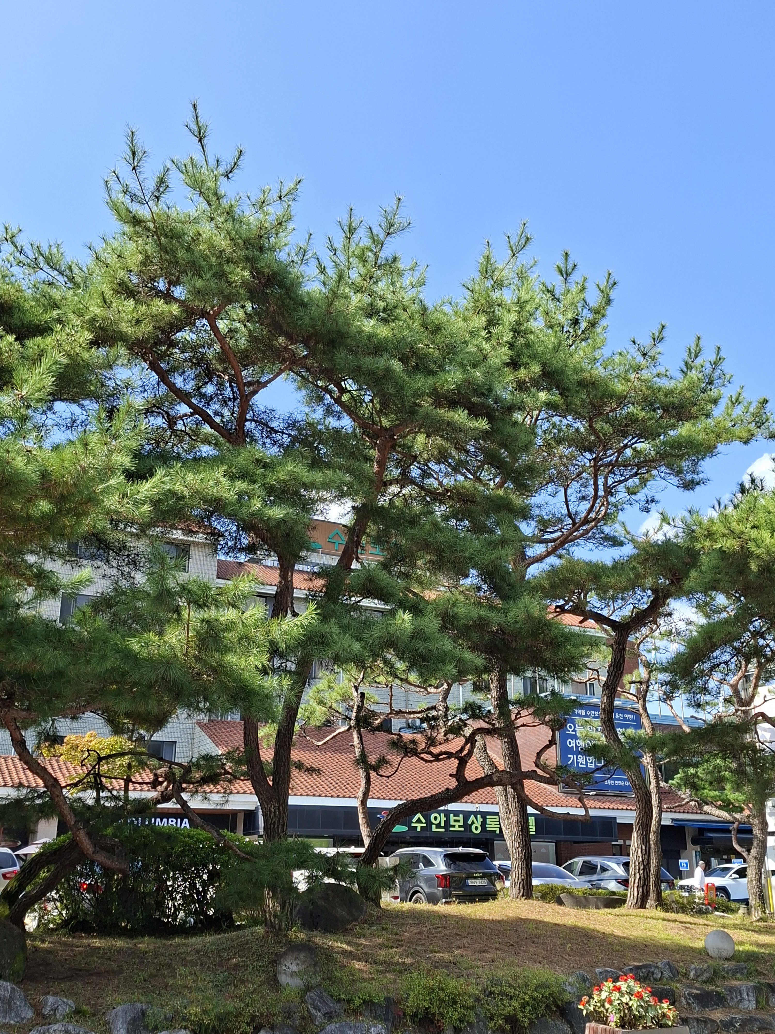 조령산의 추억 여행